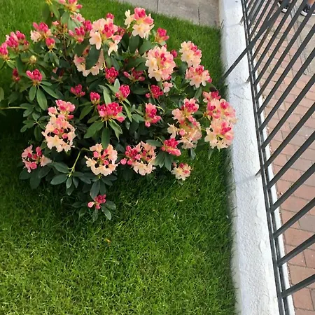 호스텔 Meierstrasse 뤼베크