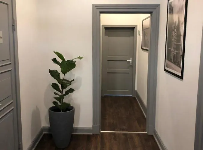 Albergue Meierstrasse *