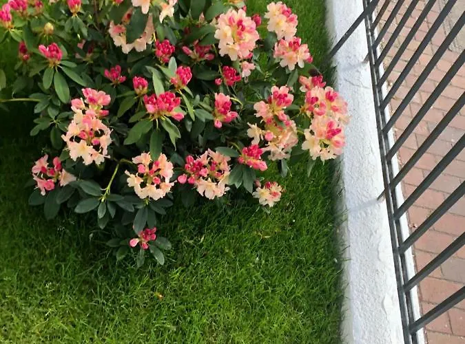 旅馆 Meierstrasse 吕贝克